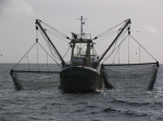 O.33 Marbi (bouwjaar 1976)