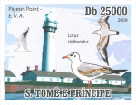 United States, California, Pigeon Point