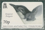 Aptenodytes forsteri
