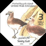 Larus hemprichii