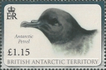 Thalassoica antarctica