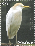 Bubulcus ibis