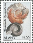 Euomphalus sp.