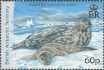 Zoogdieren