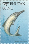 Ichthyosaurus sp.