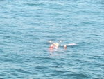JPG file