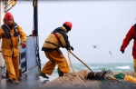ILVO wetenschappers aan het werk op RV Thalassa