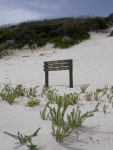 Duinen Wilsons Promontory