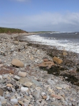 Kust Engeland