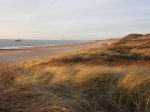 Duinen
