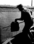 Graf (1957). Un jardinage pas comme les autres: l'ostréiculture ostendaise Reflets du Tourisme 7(4): 40-43 Graf (1957). Un jardinage pas comme les autres: l'ostréiculture ostendaise Reflets du Tourisme 7(4): 40-43