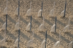 Strandstoelen
