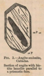 Renard (1888, fig. 03) Renard (1888, fig. 03)