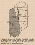 Geologie