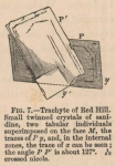 Renard (1888, fig. 07) Renard (1888, fig. 07)