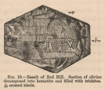 Renard (1888, fig. 10) Renard (1888, fig. 10)