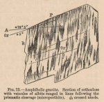 Renard (1888, fig. 12) Renard (1888, fig. 12)