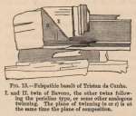Renard (1888, fig. 13) Renard (1888, fig. 13)