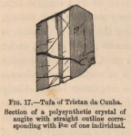 Renard (1888, fig. 17) Renard (1888, fig. 17)