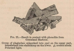Renard (1888, fig. 25) Renard (1888, fig. 25)