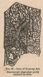 Renard (1888, fig. 28) Renard (1888, fig. 28)