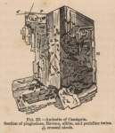 Renard (1888, fig. 32) Renard (1888, fig. 32)