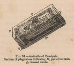 Renard (1888, fig. 34) Renard (1888, fig. 34)
