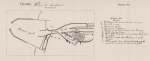 Verraert (1907, pl. 04bis) Verraert (1907, pl. 04bis)