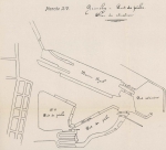 Verraert (1907, pl. 14) Verraert (1907, pl. 14)