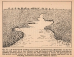 Loppens (1953, fig. 6) Loppens (1953, fig. 6)