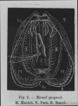 Eben (1884, figuur 2) Eben (1884, figuur 2)