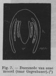 Eben (1884, figuur 3) Eben (1884, figuur 3)