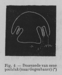 Eben (1884, figuur 4) Eben (1884, figuur 4)