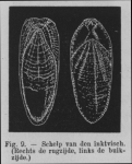 Eben (1884, figuur 9) Eben (1884, figuur 9)