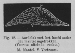 Eben (1884, figuur 12) Eben (1884, figuur 12)