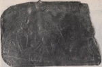 Schittekat (1958, fig. 15) Schittekat (1958, fig. 15)
