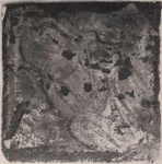 Schittekat (1958, fig. 19) Schittekat (1958, fig. 19)