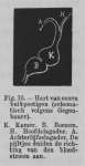 Eben (1884, figuur 16) Eben (1884, figuur 16)