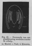 Eben (1884, figuur 22) Eben (1884, figuur 22)