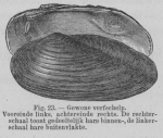 Eben (1884, figuur 23) Eben (1884, figuur 23)