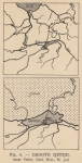 De Langhe (1939, fig. 6) De Langhe (1939, fig. 6)