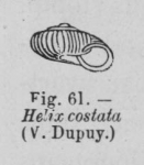 Eben (1884, figuur 61) Eben (1884, figuur 61)