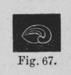 Eben (1884, figuur 67) Eben (1884, figuur 67)
