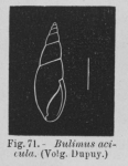 Eben (1884, figuur 71) Eben (1884, figuur 71)