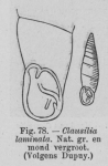 Eben (1884, figuur 78) Eben (1884, figuur 78)
