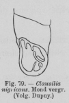 Eben (1884, figuur 79) Eben (1884, figuur 79)