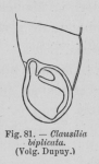 Eben (1884, figuur 81) Eben (1884, figuur 81)