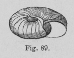 Eben (1884, figuur 89) Eben (1884, figuur 89)