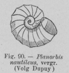 Eben (1884, figuur 90) Eben (1884, figuur 90)