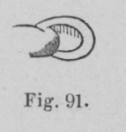 Eben (1884, figuur 91) Eben (1884, figuur 91)